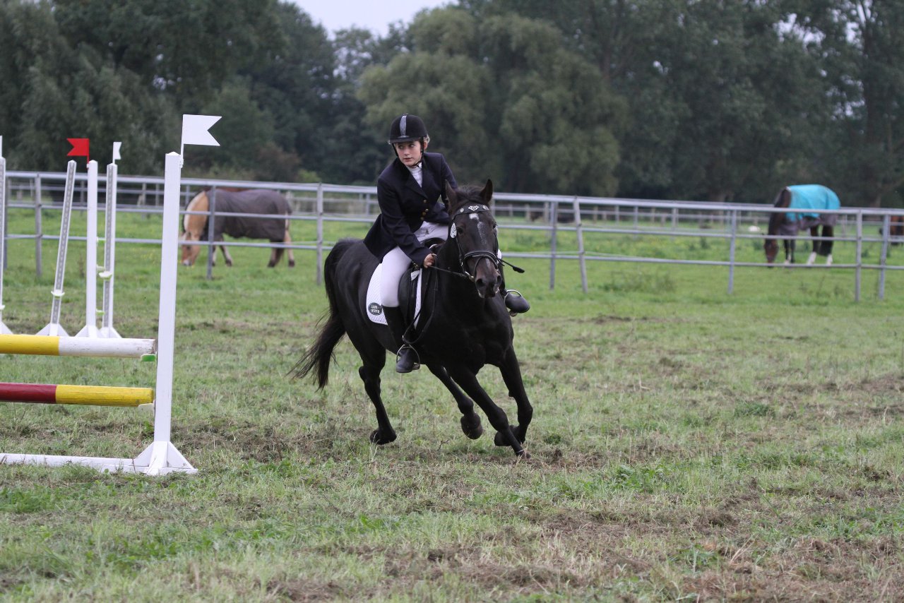 Bild 1471 - WBO-Turnier am 18.9.11